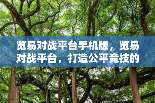 览易对战平台手机版，览易对战平台，打造公平竞技的娱乐新天地