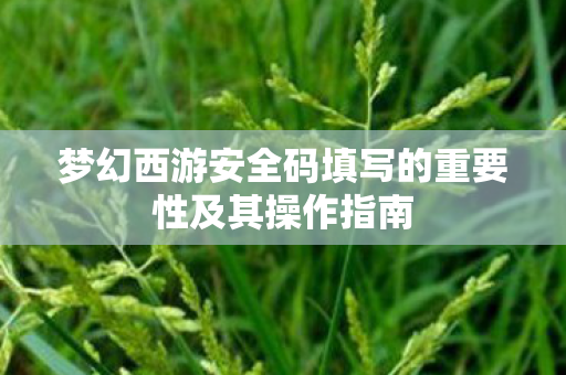 梦幻西游安全码填写的重要性及其操作指南