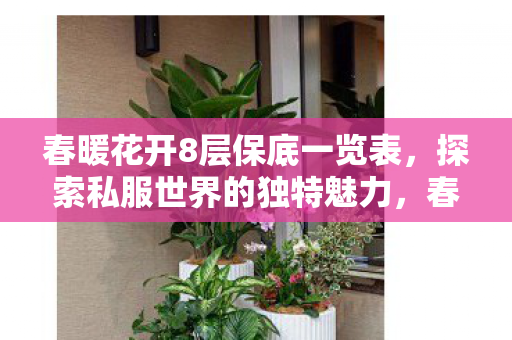 春暖花开8层保底一览表，探索私服世界的独特魅力，春暖花开8