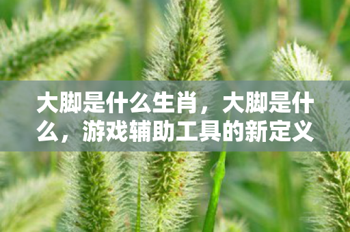 大脚是什么生肖，大脚是什么，游戏辅助工具的新定义