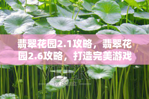 翡翠花园2.1攻略，翡翠花园2.6攻略，打造完美游戏世界的指南