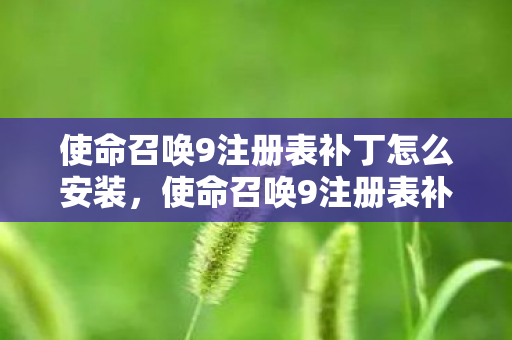 使命召唤9注册表补丁怎么安装，使命召唤9注册表补丁，提升游戏性能与稳定性的关键