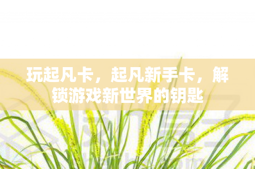 玩起凡卡，起凡新手卡，解锁游戏新世界的钥匙