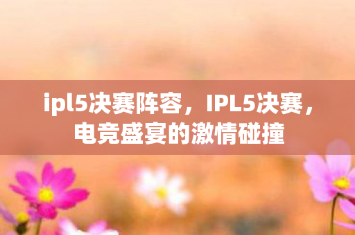 ipl5决赛阵容，IPL5决赛，电竞盛宴的激情碰撞