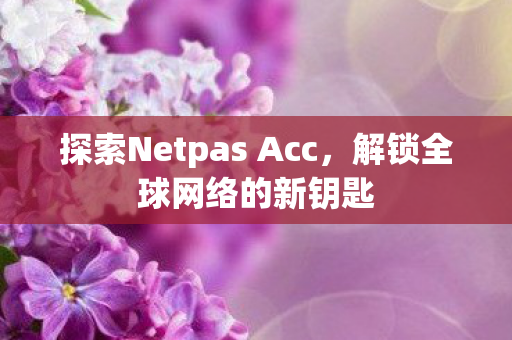 探索Netpas Acc，解锁全球网络的新钥匙