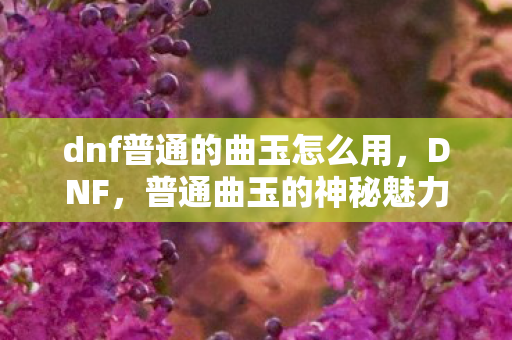 dnf普通的曲玉怎么用，DNF，普通曲玉的神秘魅力与游戏内的独特作用