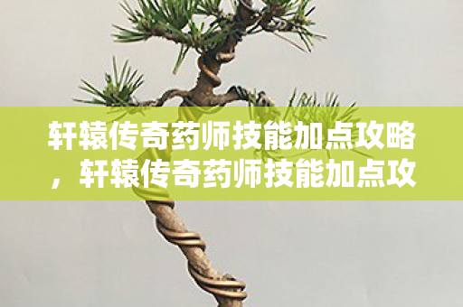 轩辕传奇药师技能加点攻略，轩辕传奇药师技能加点攻略