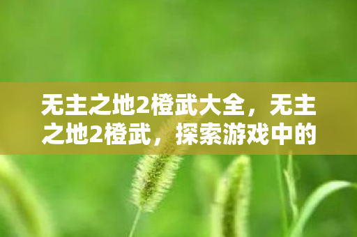 无主之地2橙武大全，无主之地2橙武，探索游戏中的传奇武器