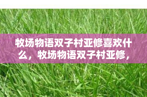 牧场物语双子村亚修喜欢什么，牧场物语双子村亚修，温馨田园中的友情与成长