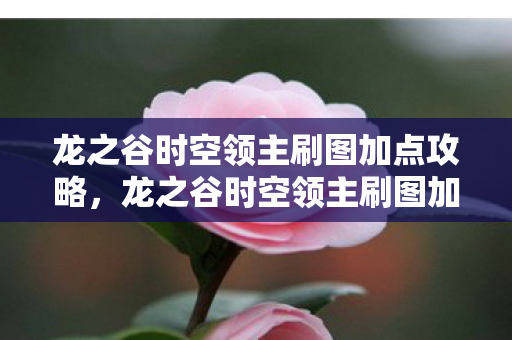 龙之谷时空领主刷图加点攻略，龙之谷时空领主刷图加点攻略