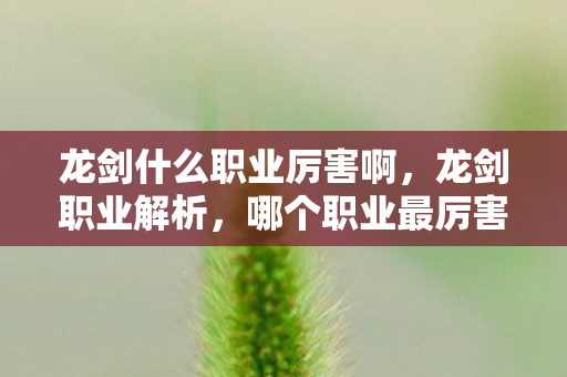 龙剑什么职业厉害啊，龙剑职业解析，哪个职业最厉害？