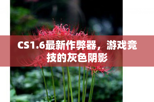 CS1.6最新作弊器，游戏竞技的灰色阴影