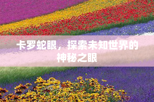 卡罗蛇眼，探索未知世界的神秘之眼
