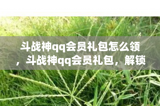 斗战神qq会员礼包怎么领，斗战神qq会员礼包，解锁专属福利，畅享游戏新体验