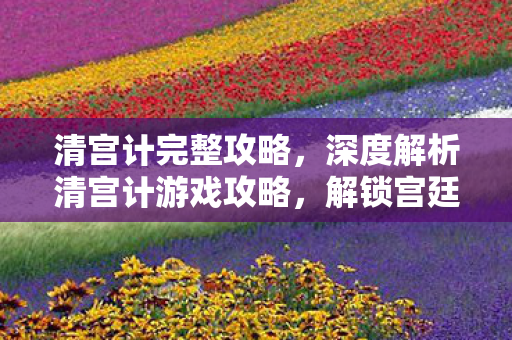清宫计完整攻略，深度解析清宫计游戏攻略，解锁宫廷权谋与浪漫情缘