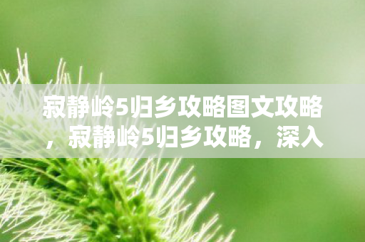 寂静岭5归乡攻略图文攻略，寂静岭5归乡攻略，深入探索恐怖与奇幻的交织世界