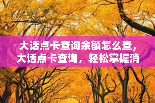 大话点卡查询余额怎么查，大话点卡查询，轻松掌握消费明细，避免意外扣费