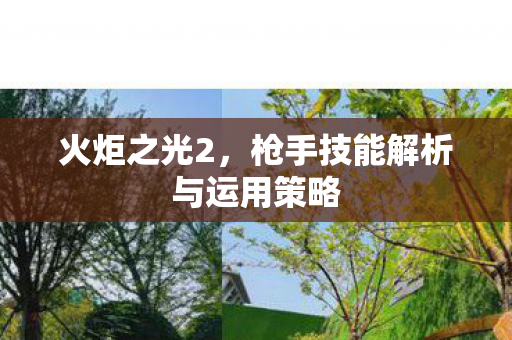 火炬之光2,枪手技能解析与运用策略 火炬之光2,枪手技能解析与运用策略