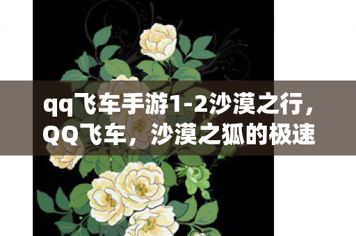 qq飞车手游1-2沙漠之行，QQ飞车，沙漠之狐的极速挑战