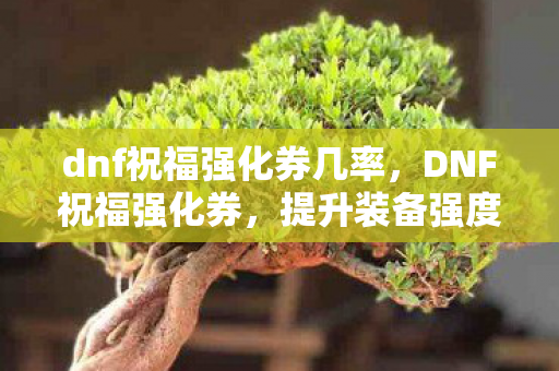 dnf祝福强化券几率，DNF祝福强化券，提升装备强度的神秘力量
