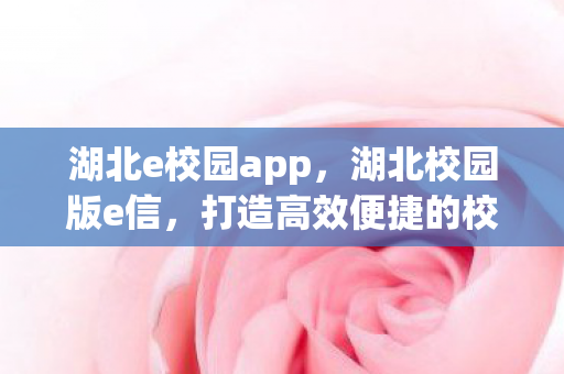 湖北e校园app，湖北校园版e信，打造高效便捷的校园通讯新体验