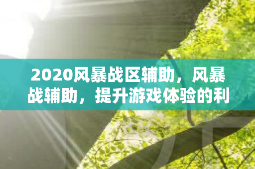 2020风暴战区辅助，风暴战辅助，提升游戏体验的利器