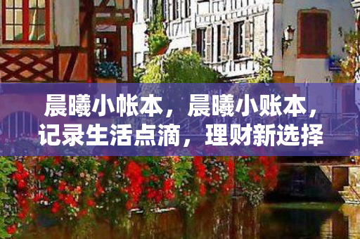 晨曦小帐本，晨曦小账本，记录生活点滴，理财新选择