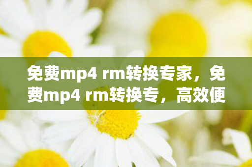 免费mp4 rm转换专家，免费mp4 rm转换专，高效便捷的视频转换工具