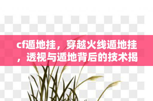 cf遁地挂，穿越火线遁地挂，透视与遁地背后的技术揭秘