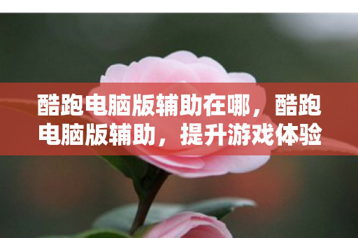 酷跑电脑版辅助在哪，酷跑电脑版辅助，提升游戏体验的明智选择