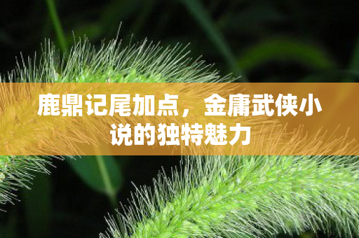 鹿鼎记尾加点，金庸武侠小说的独特魅力