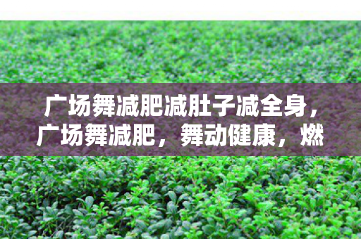 广场舞减肥减肚子减全身，广场舞减肥，舞动健康，燃烧卡路里