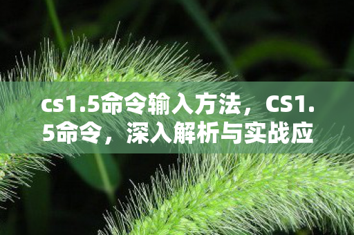 cs1.5命令输入方法,CS1.5命令,深入解析与实战应用 cs1.5命令输入方法,CS1.5命令,深入解析与实战应用