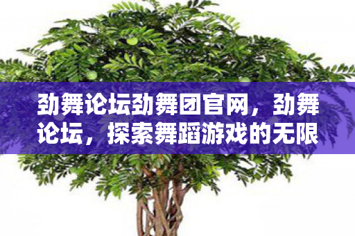 劲舞论坛劲舞团官网，劲舞论坛，探索舞蹈游戏的无限可能