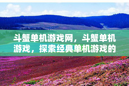 斗蟹单机游戏网，斗蟹单机游戏，探索经典单机游戏的魅力