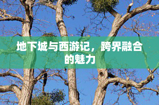 地下城与西游记，跨界融合的魅力