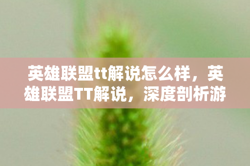 英雄联盟tt解说怎么样，英雄联盟TT解说，深度剖析游戏战术与解说魅力