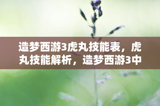 造梦西游3虎丸技能表，虎丸技能解析，造梦西游3中的战斗艺术