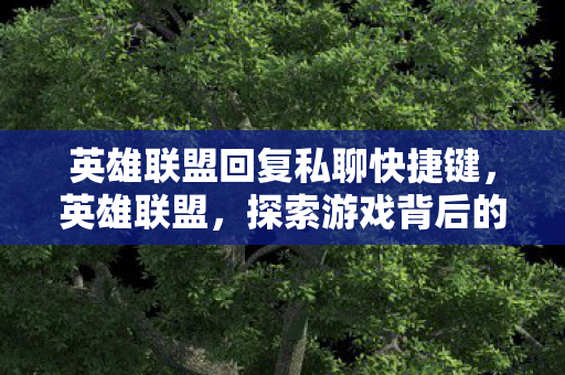 英雄联盟回复私聊快捷键，英雄联盟，探索游戏背后的故事与魅力