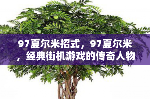 97夏尔米招式，97夏尔米，经典街机游戏的传奇人物