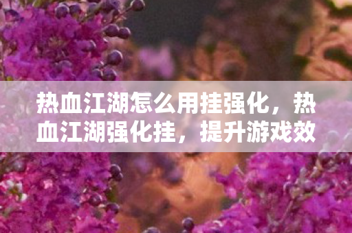 热血江湖怎么用挂强化，热血江湖强化挂，提升游戏效率，但需谨慎使用