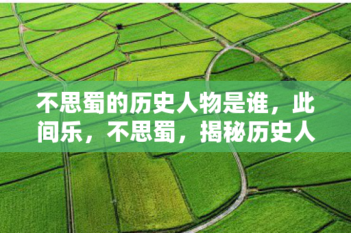 不思蜀的历史人物是谁，此间乐，不思蜀，揭秘历史人物刘禅的乐不思蜀