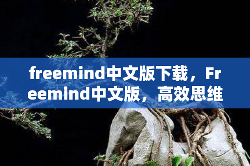 freemind中文版下载，Freemind中文版，高效思维导图工具，助力创意与规划