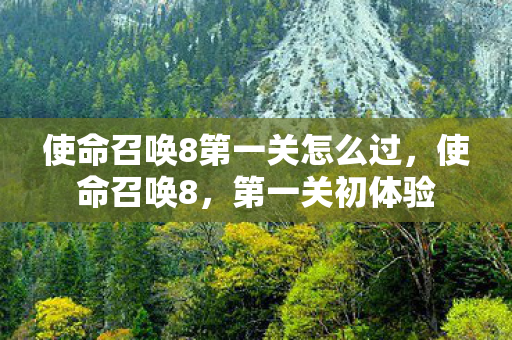 使命召唤8第一关怎么过，使命召唤8，第一关初体验