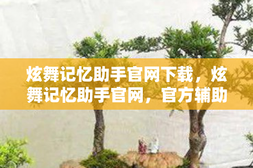 炫舞记忆助手官网下载，炫舞记忆助手官网，官方辅助，提升游戏体验