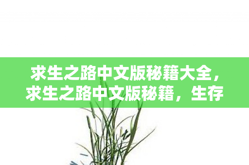 求生之路中文版秘籍大全，求生之路中文版秘籍，生存与策略的智慧