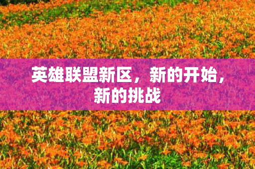 英雄联盟新区，新的开始，新的挑战