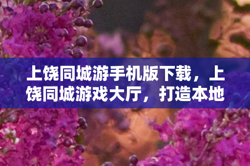 上饶同城游手机版下载，上饶同城游戏大厅，打造本地游戏新生态