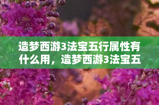 造梦西游3法宝五行属性有什么用，造梦西游3法宝五行，揭秘游戏中的神秘力量