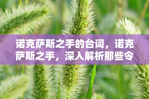 诺克萨斯之手的台词，诺克萨斯之手，深入解析那些令人头疼的BUG